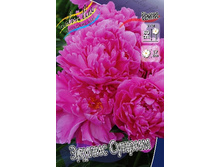 202,5���. ���� ������ ������(���������� ������ ������ ���������� �� 1 ��.).jpg