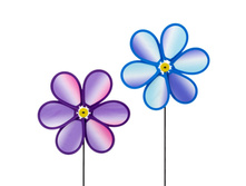 55,9 ���. - ������� �������� ��������, 48�24��, �����