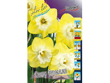 37,6���. ������� ���� ������(�������� ���� �� 5 ��., ����������� ����� 2��.).jpg