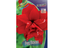 292,7���. ��������� ��� �����(���������� ������ ������ ���������� �� 1 ��.).jpg