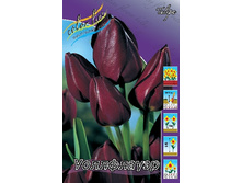 17,68���. ������� ����������(�������� ���� �� 10 ��., ����������� ����� 5��.).jpg