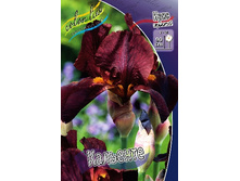 81,8���. ���� ���������� ��������(�������� ���� �� 2 ��., ����������� ����� 1��.).jpg