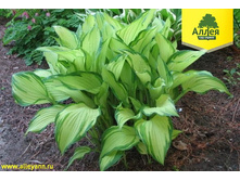 ����� ���������� �������� 140 ��� ��� ����. �����!!! 110���!!!