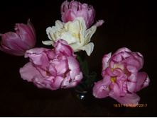 ���� ������