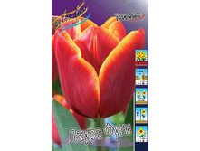 11���. ������� ����� ����(���������� ������ ������ ���������� �� 10 ��.).jpg