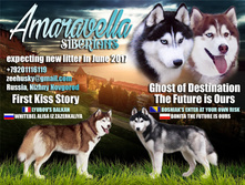 ������� ����� � ������ ���� 2017