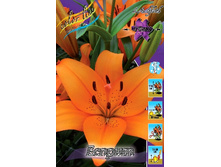 21,35���. ����� ������(�������� ���� �� 2 ��., ����������� ����� 1��.).jpg