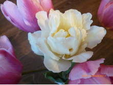 ���� ������