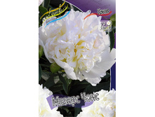 253,3���. ���� ������ ����(���������� ������ ������ ���������� �� 1 ��.).jpg