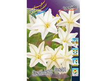 15,46���. ��������� ������� ����(�������� ���� �� 10 ��., ����������� ����� 5��.).jpg