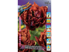 27,6���. ������� ������(�������� ���� �� 7 ��., ����������� ����� 2��.).jpg