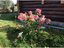 27.08.16 ������� ��� �� ������.