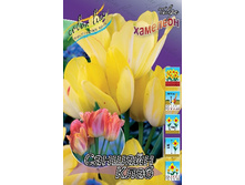 18,43���. ������� ������� ����(�������� ���� �� 10 ��., ����������� ����� 5��.).jpg