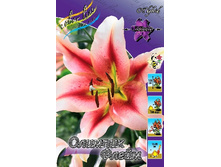 26,66���. ����� ������� ����(�������� ���� �� 5 ��., ����������� ����� 3��.).jpg