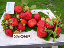 ��������� �����.jpg