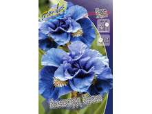 51,9���. ���� ��������� ������� ����(�������� ���� �� 2 ��., ����������� ����� 1��.).jpg