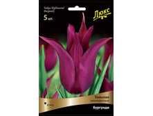 ������� ��������.jpg