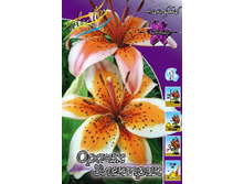 36,66���. ����� ����� ��������(�������� ���� �� 5 ��., ����������� ����� 3��.).jpg