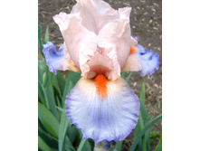 114,7���. ���� ���������� ����� ������(�������� ���� �� 2 ��., ����������� ����� 1��.)���17.jpg