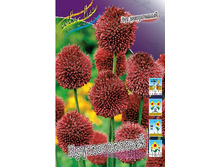 5,15���. ��� �����. �������������(���������� ������ ������ ���������� �� 15 ��.).jpg