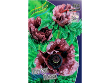 96,75���. ��� ������ ����(�������� ���� �� 2 ��., ����������� ����� 1��.).jpg