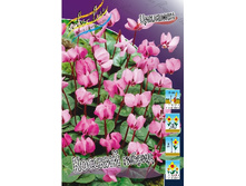 69,1���. �������� �������, ������(�������� ���� �� 2 ��., ����������� ����� 1��.).jpg