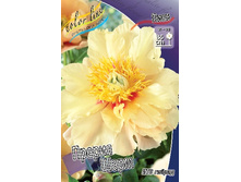 866,1���. ���� ������ ���� (���)(���������� ������ ������ ���������� �� 1 ��.).jpg