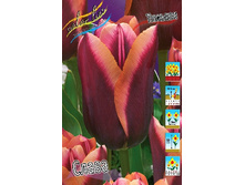 14,71���. ������� �����(���������� ������ ������ ���������� �� 10 ��.).jpg