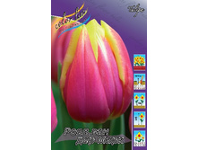 11���. ������� ���� ��� ��� ����(���������� ������ ������ ���������� �� 10 ��.).jpg