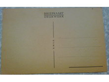 ����85 (1).jpg