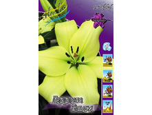 21,87���. ����� ������ ����(�������� ���� �� 7 ��., ����������� ����� 3��.).jpg