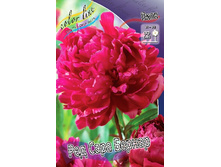 298,1���. ���� ��� ���� �������(���������� ������ ������ ���������� �� 1 ��.).jpg