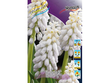 9,51���. ������� �����(���������� ������ ������ ���������� �� 10 ��.).jpg