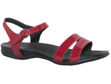 508 ��� �������