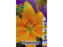 23,48���. ����� ��������(�������� ���� �� 5 ��., ����������� ����� 3��.).jpg