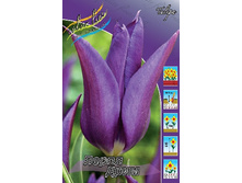 11,89���. ������� ����� ����(���������� ������ ������ ���������� �� 10 ��.).jpg