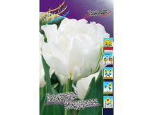 22,14���. ������� �������� ���������(�������� ���� �� 10 ��., ����������� ����� 5��.).jpg