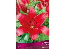 ����� ������.jpg