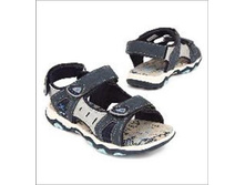 810 ���. - ����� �������� ������., (���), �. 31, 35, 36