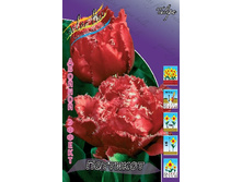 20,21���. ������� ��������(�������� ���� �� 10 ��., ����������� ����� 5��.).jpg