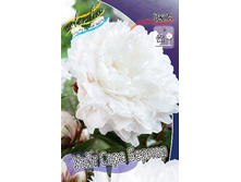 462,5���. ���� ���� ���� �������(���������� ������ ������ ���������� �� 1 ��.).jpg