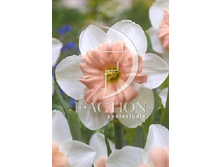 37,6���. ������� ��� ������(�������� ���� �� 5 ��., ����������� ����� 3��.)���17.jpg