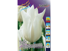 13,97���. ������� ���� ����������(���������� ������ ������ ���������� �� 10 ��.).jpg