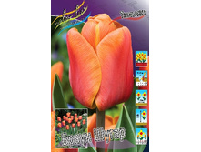 12,78���. ������� ����� �����(���������� ������ ������ ���������� �� 10 ��.)���16.jpg