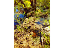 IMG 20170507 120029.jpg