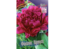 156,1���. ���� ������ ������(���������� ������ ������ ���������� �� 1 ��.).jpg