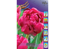 573775b9f340a 185rub. tyulpan shatoryad 10 sht. zakazyvaem kratno 5sht. — �����.jpg