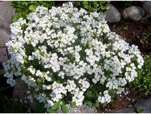 ������. ��������������.