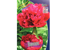 148,7���. ���� ������(���������� ������ ������ ���������� �� 1 ��.).jpg