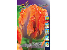 17,68���. ������� ��������� ���� ������(�������� ���� �� 10 ��., ����������� ����� 5��.).jpg